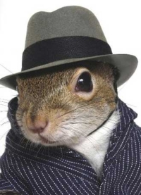 Agent Photo